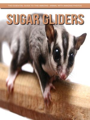 cover image of Sugar gliders